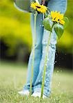 Person watering sunflowers