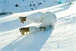 Jeune skieur tombant vers le bas de la colline, vue arrière