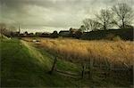 Scène rurale en dehors de Veere, Zeeland, Pays-Bas