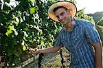 Jeune homme en tenue décontractée dans le vignoble de raisins blancs