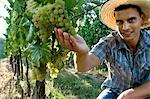 Young man in vineyard holding white grapes