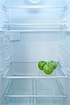 Apples in Fridge