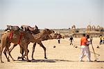 Chameau Fair, Jaisalmer, Rajasthan, Inde