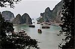 Boote in Halong Bucht, Vietnam