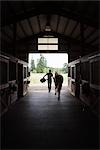 Man Leading Horse out of Stable, Brush Prairie, Washington, USA