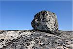 Boulder, Ilulissay Icefjord, Ilulissat, Disko Bay, Greenland