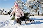 Girl pulling sledge in the snow