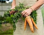 Une femme tenant un bouquet de carottes
