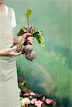 A female holding some Beetroots