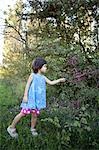 little girl picking berries