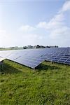 Solar panels on a meadow