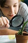 Boy examining cactus through magnifying glass