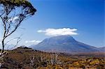 Australie, Tasmanie, « Parc National de Cradle Mountain-Lake St Clair ». Mont Pélion ouest sur la piste Overland Track - partie Tasmanian Wilderness Site du patrimoine mondial.