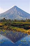Philippines, île de Luzon, Province de Bicol, Mont Mayon (2462m). Près de cône du volcan parfait avec un panache de fumée et de réflexion dans l'eau.