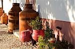 Portugal, vallée du Douro, Pinhao. Le soleil se couche sur les dépendances de la Quinta Nova de Nossa Senhora do Carmo immobilier dans la vallée du Douro, au nord du Portugal. Les pots de roses vives au premier plan sont usure four portugais traditionnel utilisé traditionnellement pour cuire les aliments sur le feu de bois.