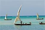 Afrique de l'est ; La Tanzanie ; Zanzibar. Un bateau est un bateau à voile traditionnel arabe avec un ou plusieurs des voiles latines. Il sert principalement le long des côtes de la péninsule arabique, l'Inde et l'Afrique.