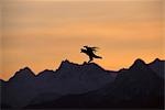 USA,Alaska,Homer. A bald eagle flies over the edge of Kachemak Bay.