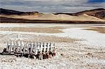 USA,Nevada. Grave marker of Wilson Turner aged 3 1864,Sand dune and desert scenery on US Route 50 - the lonliest road in America