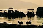 Basket Boats coming into shore after an afternoon fishing