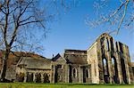 Pays de Galles, Denbighshire, Llangollen. La suppression de la demeure de l'abbaye de Valle Crucis, une abbaye cistercienne fondée en 1201 AD et abandonné à la Dissolution des monastères de 1535AD.