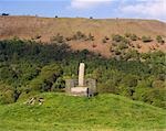 Wales,Denbighshire,Llangollen. Elisegs Pillar - part of a 9th Century inscribed stone erected by Cyngen,prince of Powys,in memory of his great-grandfather - Eliseg.