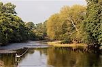 Wales; Wrexham. A salmon fisherman spey casting on the River Dee