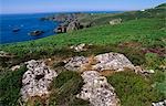 Wales. St David's Head,Pembrokeshire National Park