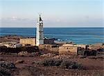 The minaret of Dileesa Mosque in the late afternoon. Egyptian vultures (Neophron percnopterus) perch either end of the crescent on top of the minaret. The population of Egyptian vultures on Socotra is greater than areas of similar size elsewhere in the world. The birds have adapted to scavenging,keeping the fishing villages free of biodegradable waste.