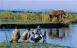 Zambia,Lower Zambezi National Park. Game walk on an island in the Zambezi encounters elephant.
