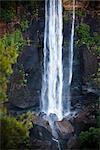 Fitzroy Falls, Morton Nationalpark, NSW, Australien