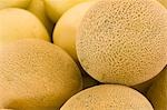 Gros plan des Melons