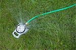 Nahaufnahme der Wasser Sprinkler auf Gras
