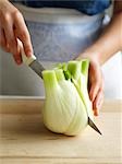 Close-up of Woman Cutting Fennel