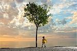 Boy standing beneath tree on beach watching plane soaring through the air