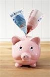 Sparschwein und Geld