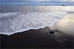 Beach, Olympic National Park, Washington State, USA