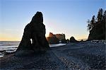 Sea Stack, Ruby Beach, Olympic National Park, Washington State, USA