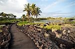 Kona, The Big Island, Hawaii, USA