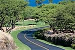 Road, Kona, Big Island, Hawaii, Vereinigte Staaten