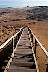 Gehweg auf Bartolome Insel, Galapagos-Inseln, Ecuador