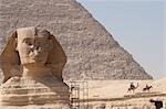 Große Sphinx und Pyramide, Gizeh, Ägypten