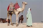 Man with Camel, Cairo, Egypt