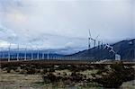 Wind Farm, Desert Hot Springs, Riverside County, Californie, Etats-Unis