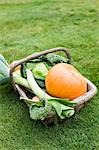 Basket of winter vegetables