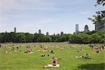 Sheep Meadow, Central Park sur un été jour, New York City, New York, États-Unis d'Amérique, l'Amérique du Nord