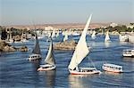 Felucca boats on nile cataract