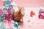 Kitten with confetti and gifts