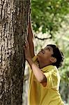 Young boy trying to climb a tree