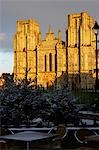 Puits cathédrale, Wells, Somerset, Angleterre