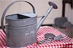 Watering can and creative gardening accessory, close-up